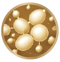 Ultra-Pure NMN from Natural Yeast